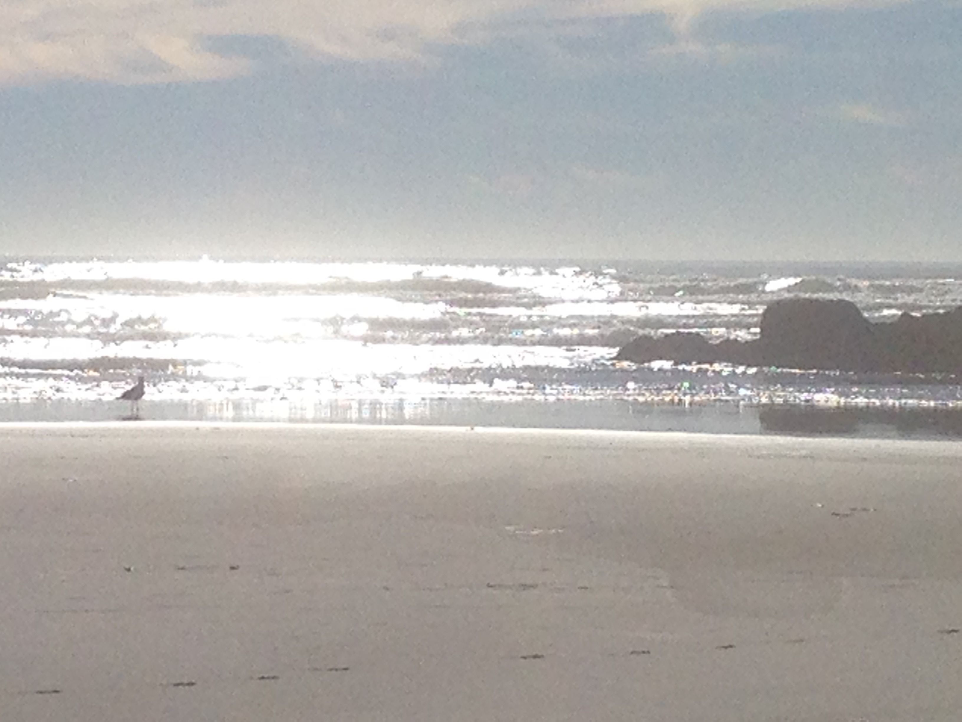 A beach with a clear sky and calm sea.