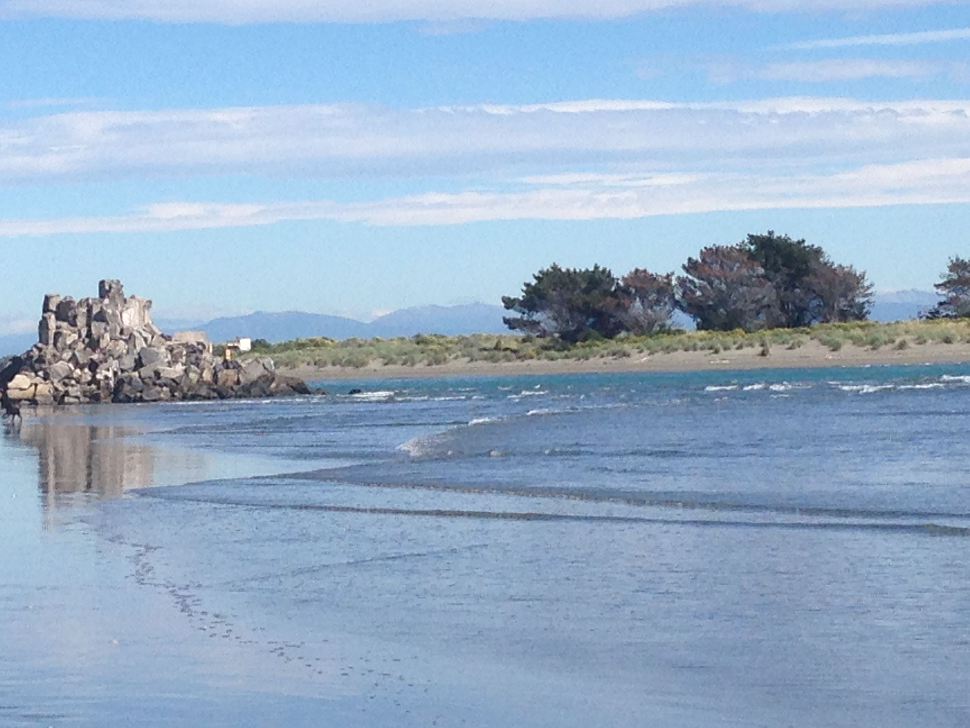A coastal landscape with a rocky outcrop and trees in the background.