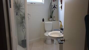 Une salle de bain avec une douche à parois de verre, des toilettes et un lavabo.