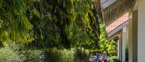 A pathway lined with greenery and a bicycle parked on the side.