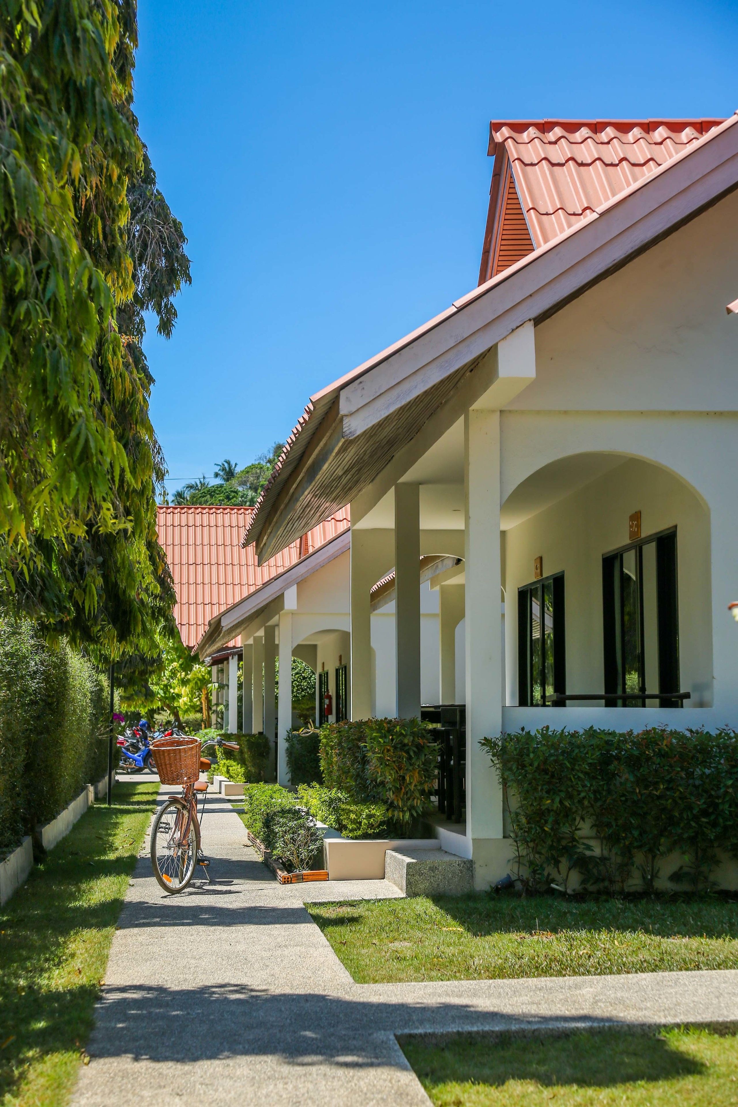 Deluxe Room | View from room