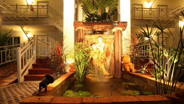 Un espace intérieur à plusieurs niveaux, doté d’un élément aquatique central, entouré de plantes en pot et agrémenté d’un escalier.