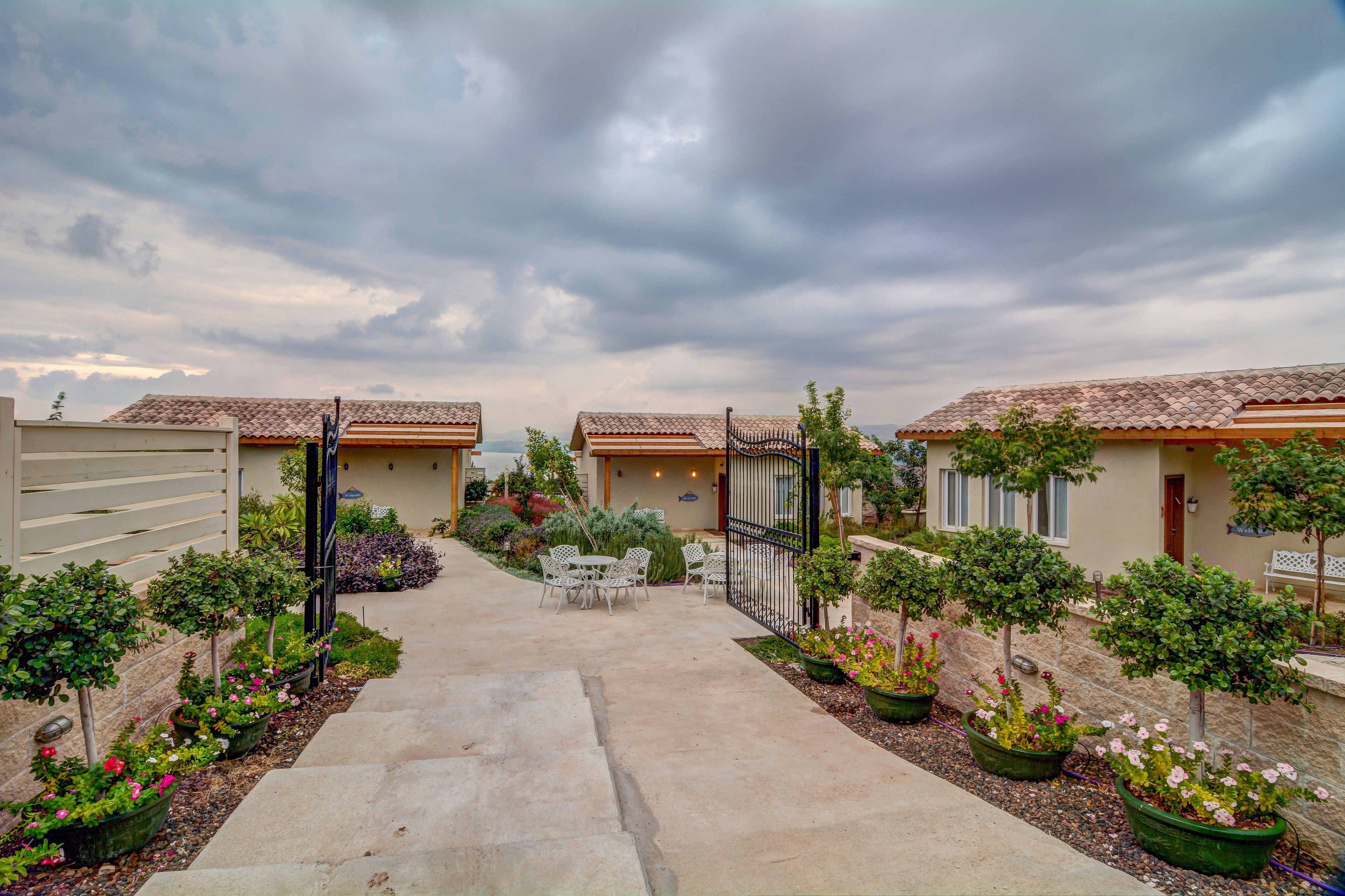 Zona residencial con un sendero adoquinado que conduce a una entrada con reja, rodeada de macetas con plantas y árboles pequeños.