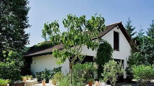 Une terrasse extérieure avec des tables rondes et des chaises en osier, entourée de plantes en pot et d’un bâtiment blanc en arrière-plan.