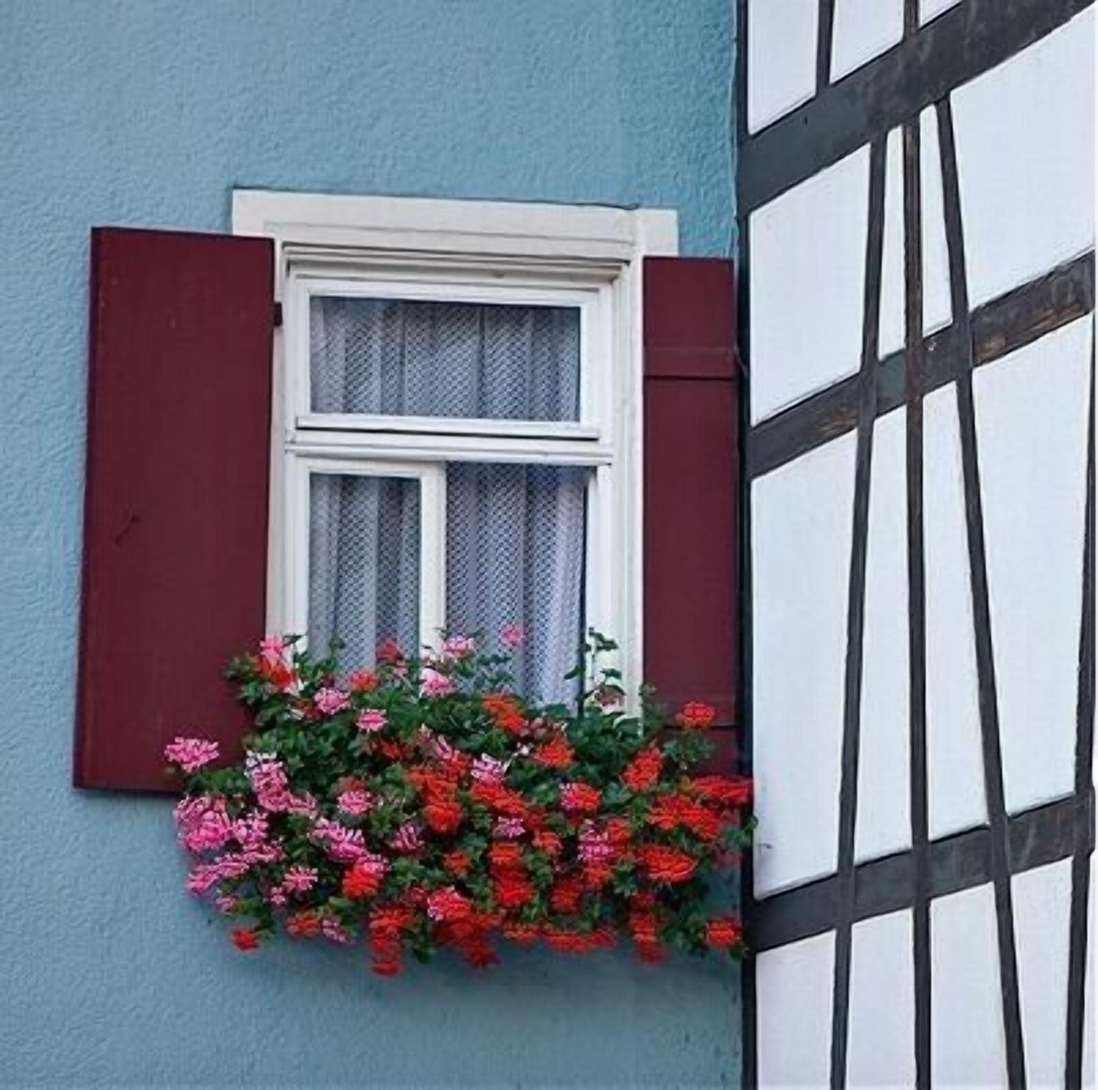A window with red shutters and a flower box with red and pink flowers.