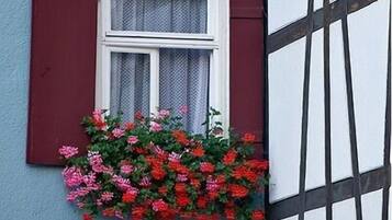 A window with red shutters and a flower box with red and pink flowers.