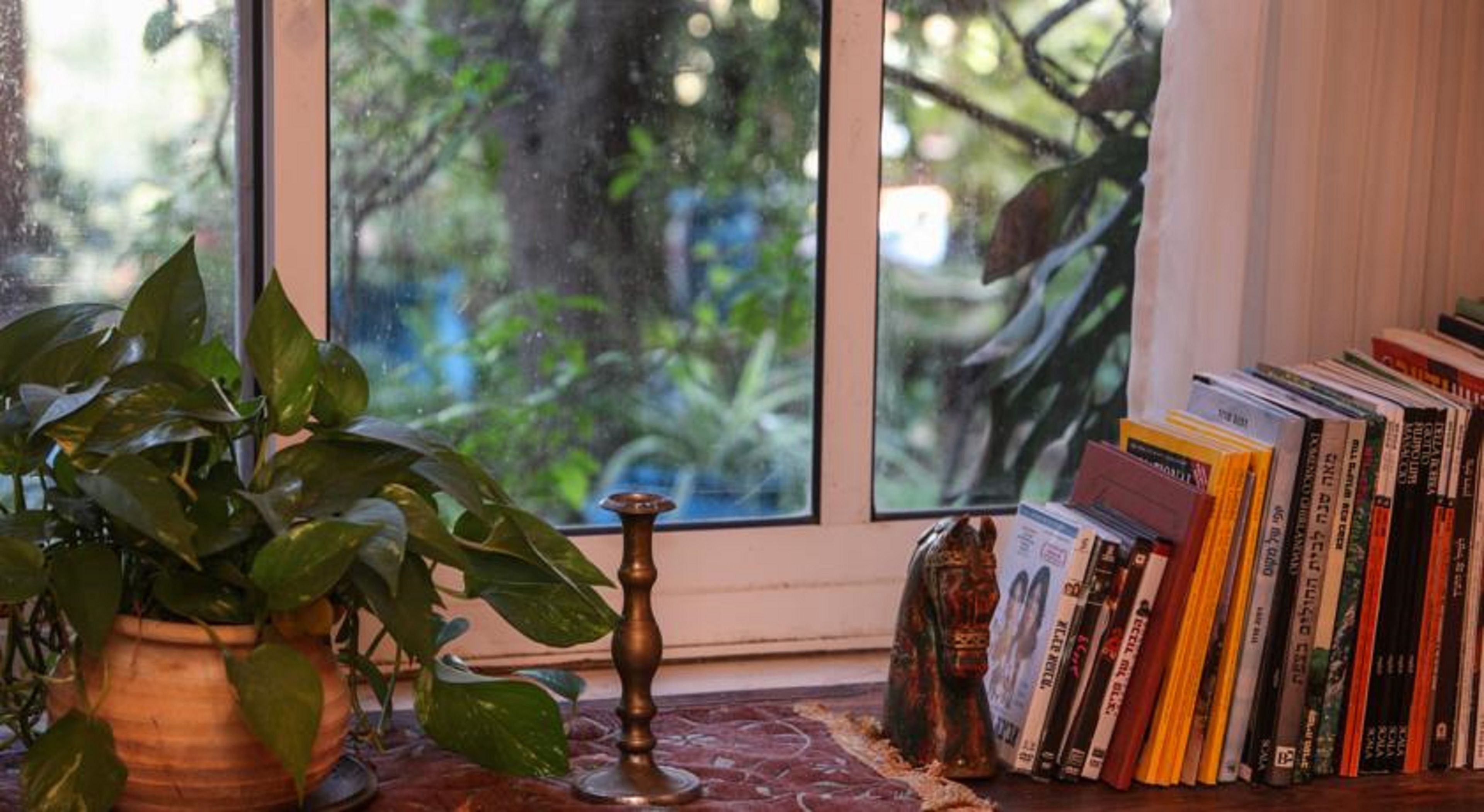 Vista desde la habitación