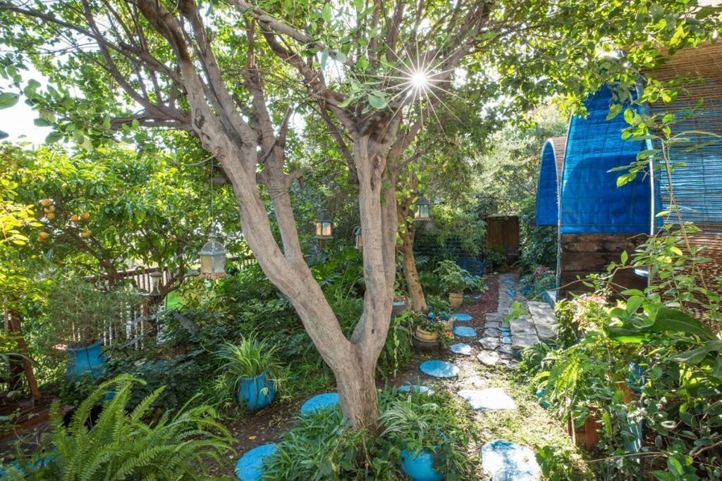 Un jardin luxuriant, avec une grande variété de plantes et d’arbres, un sentier en pierre et une structure bleue.