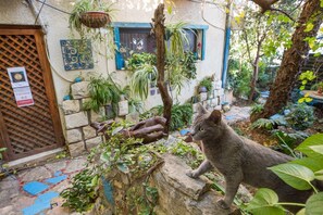 Exterior - Havaya Ba Nof (Rosh Pinna)