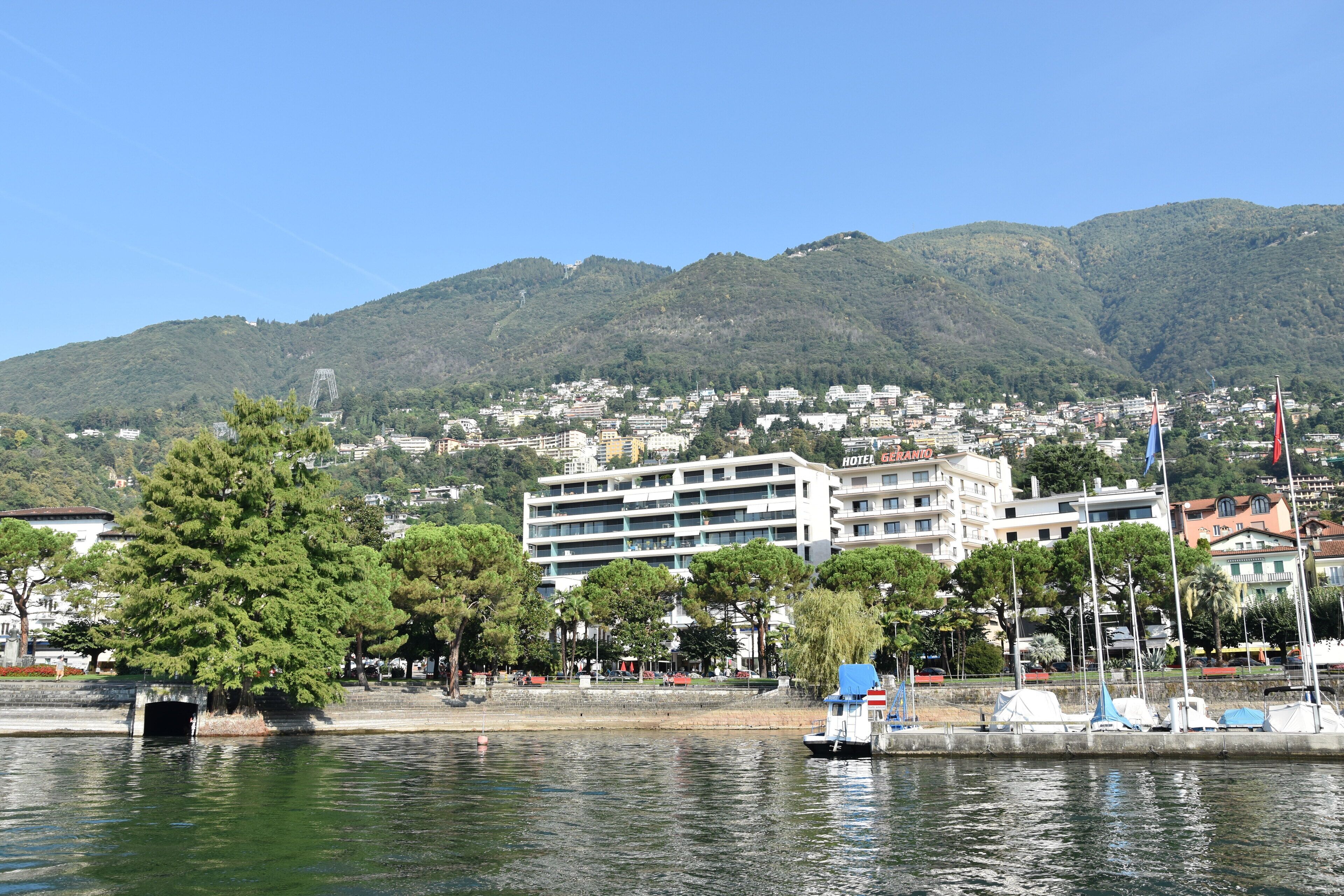 Photo - Geranio Au Lac