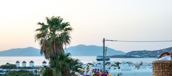 Dimele Rooms & Studios