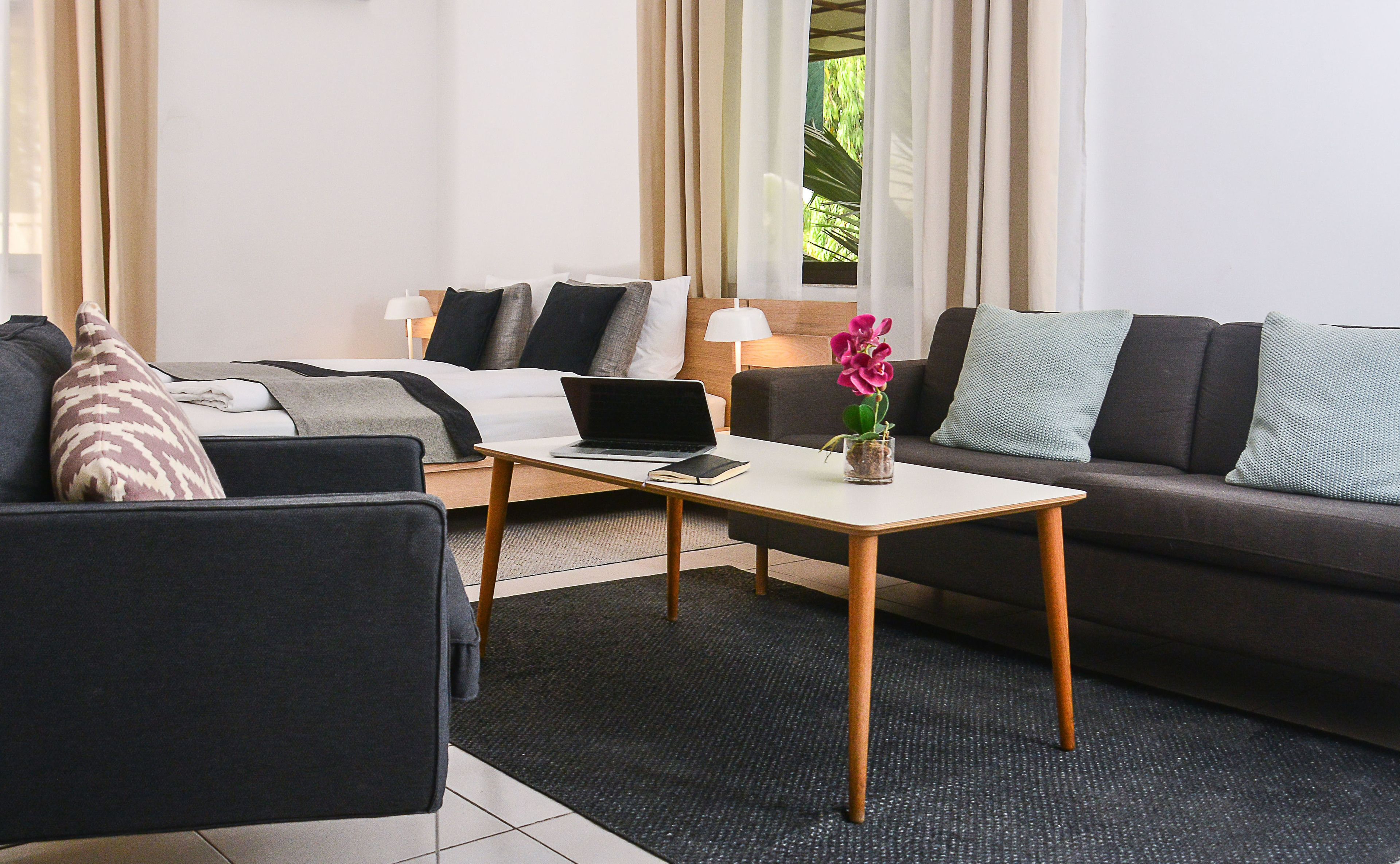 Una habitación de hotel moderna con una cama, un sofá, una mesita con un ordenador portátil y una planta en maceta.