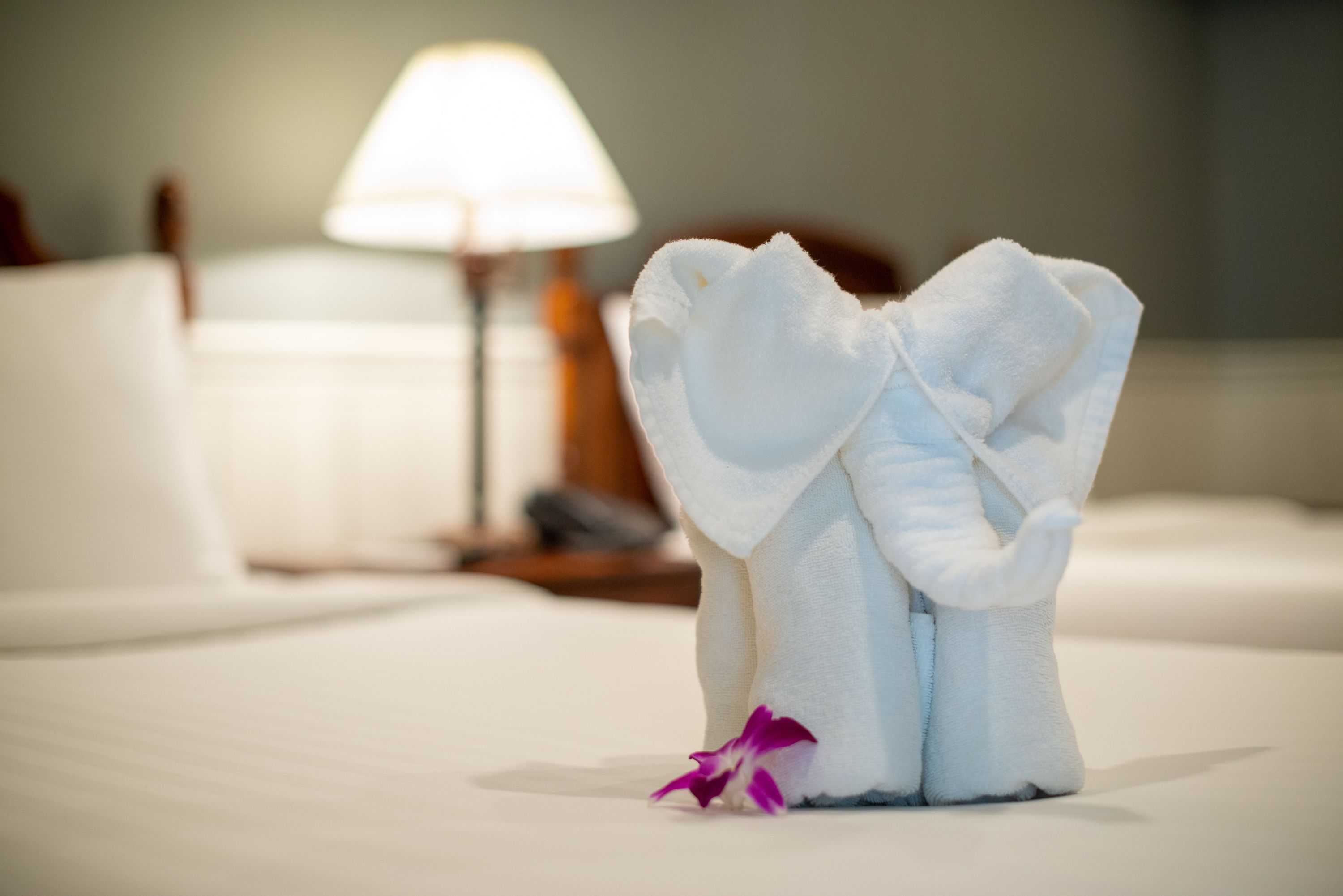 Une serviette soigneusement pliée, ornée d’une fleur violette, est posée sur le lit d’un hôtel.