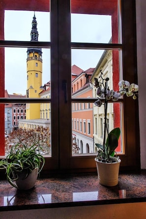 A window with two potted plants and a view of a yellow tower and buildings. - Zum Handtuch (Bautzen)