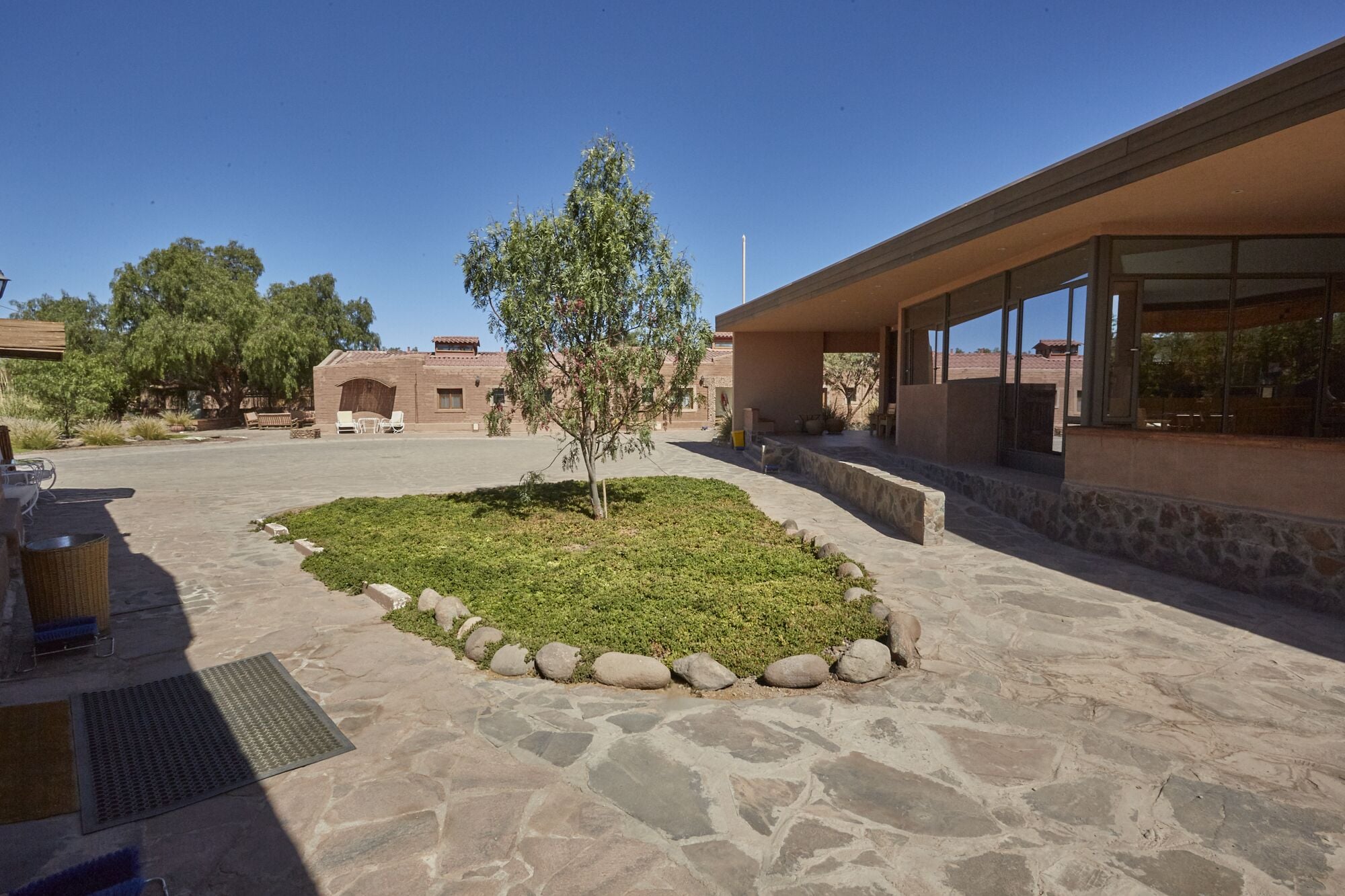Un patio con un pequeño árbol, un sendero de piedra y un edificio con grandes ventanales.