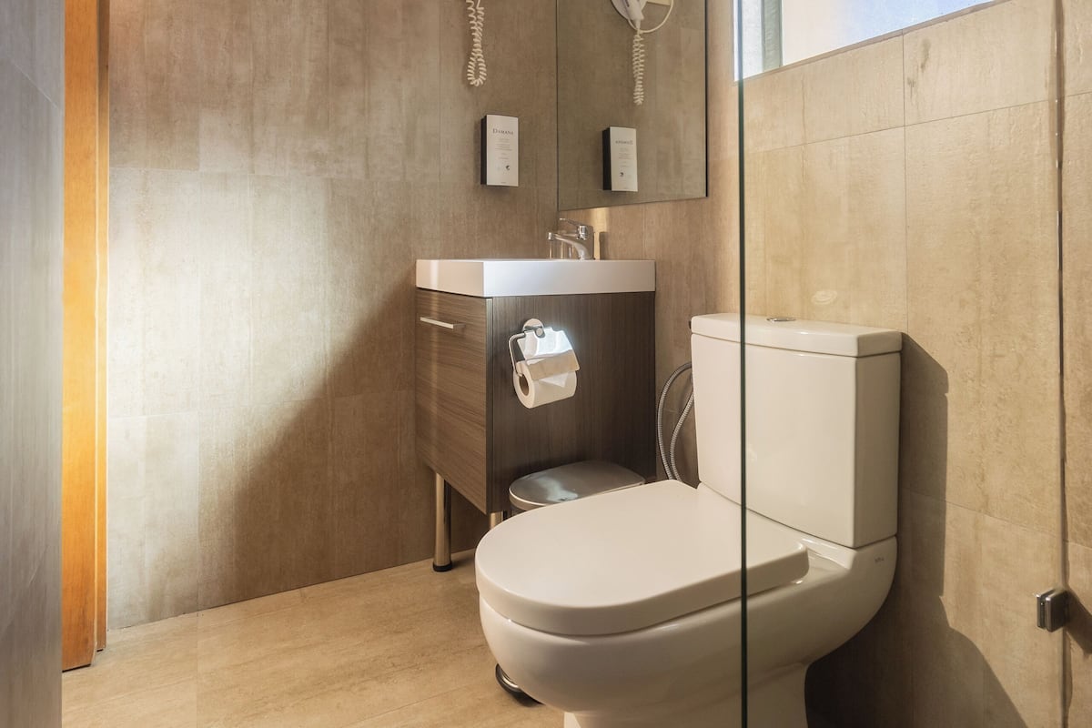 standard double room, 1 king bed | bathroom | shower, eco-friendly toiletries, towels