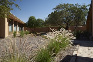 Un patio con senderos de grava, cactus y árboles.