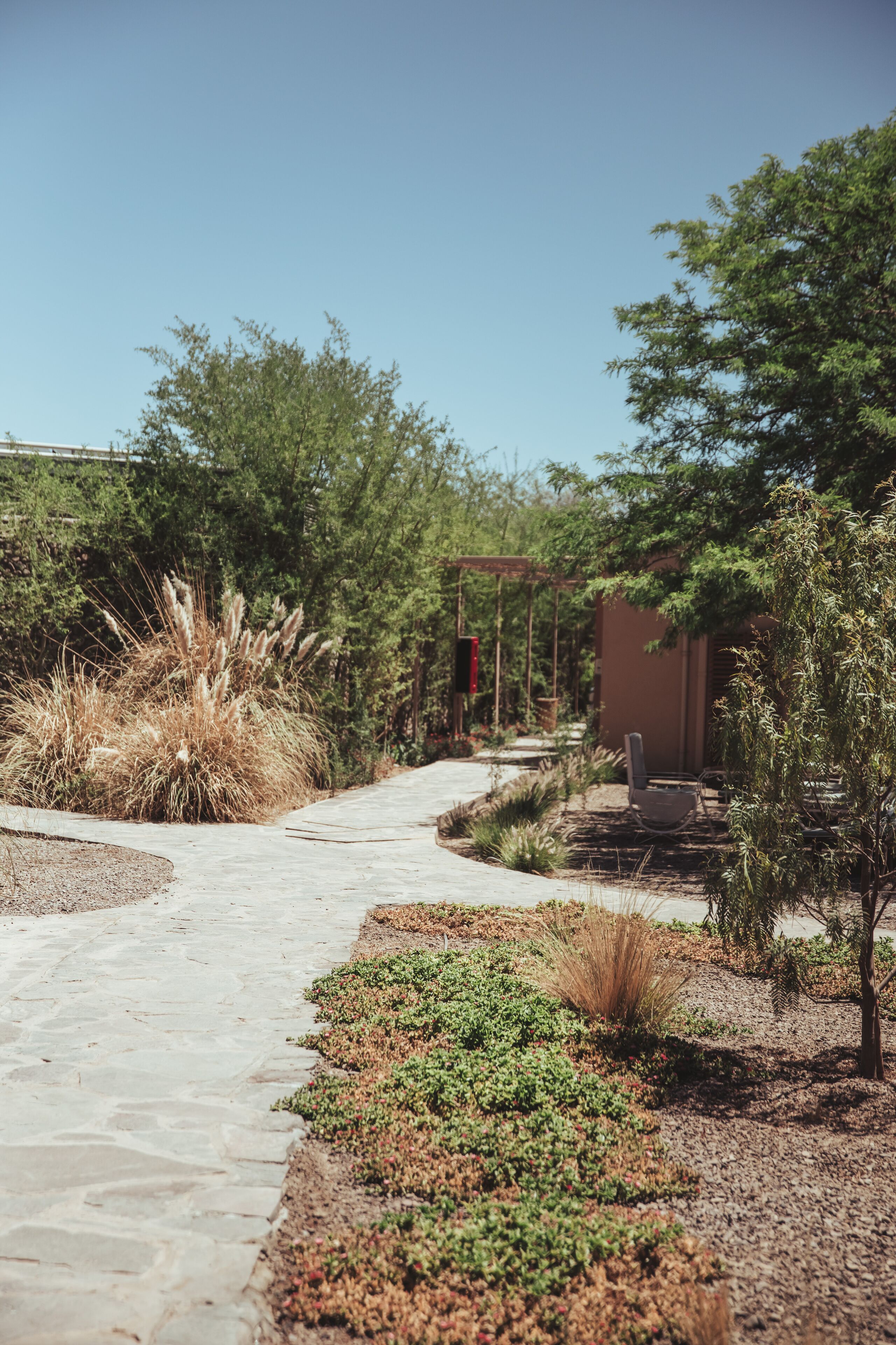 A paved pathway leading to a building with a red door, surrounded by various plants and trees.