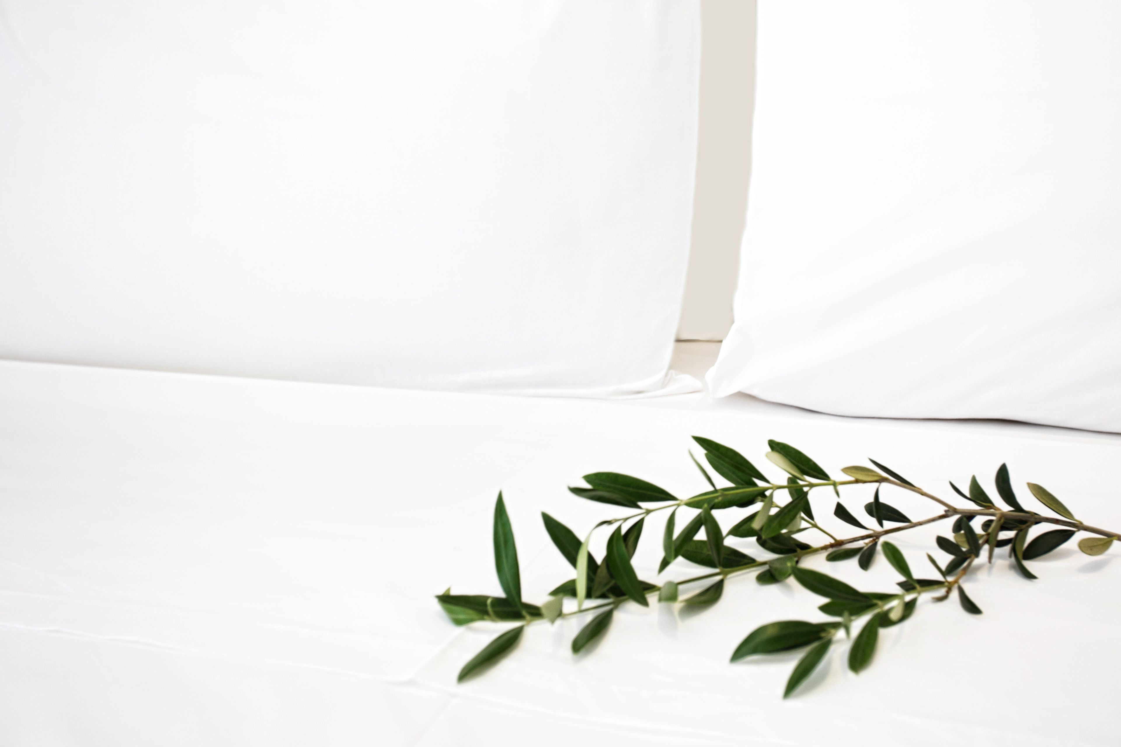 minibar, in-room safe, blackout curtains, soundproofing