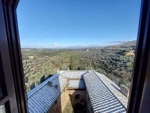 Vistas desde la habitación