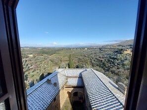 Vistas desde la habitación