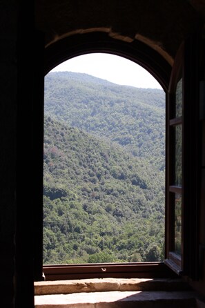 View from room - Castello di Mugnana (Greve in Chianti)