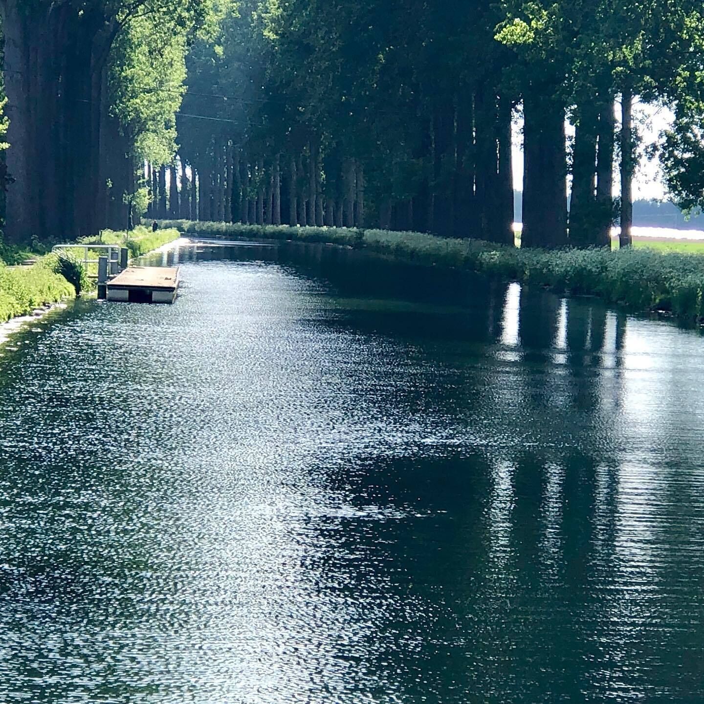 A calm canal with a small boat docked on the left, surrounded by tall trees and greenery.