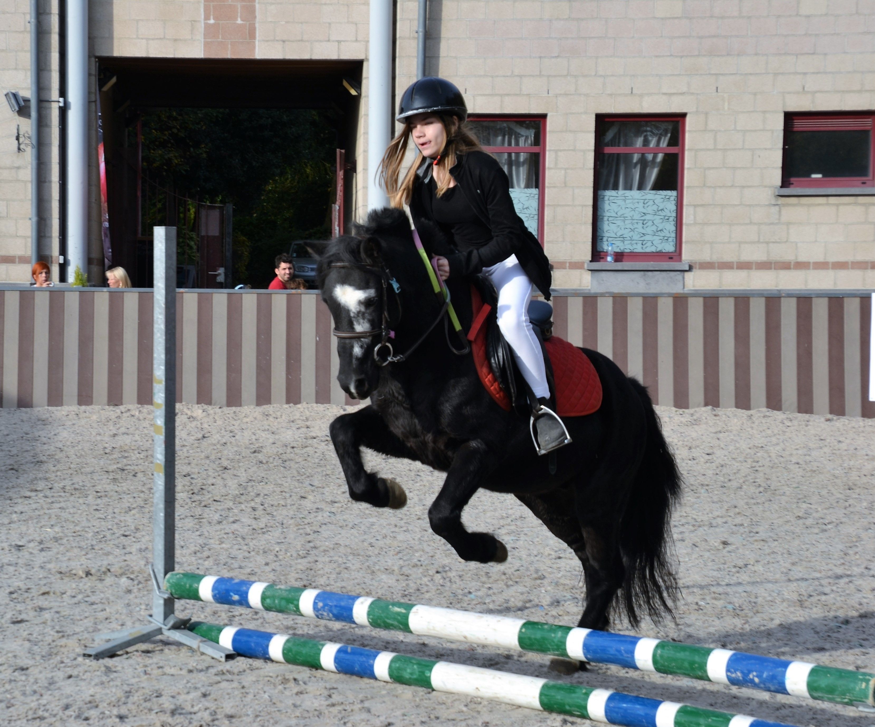 A person riding a horse over a jumping obstacle in an outdoor arena.