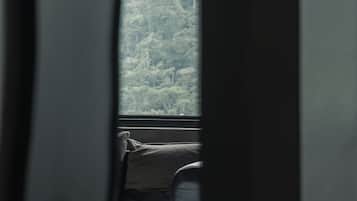 Vista a la montaña