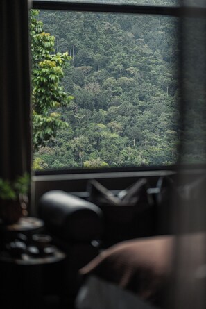Premium bedding, down duvets, minibar, in-room safe - Silverback Lodge (Bwindi)