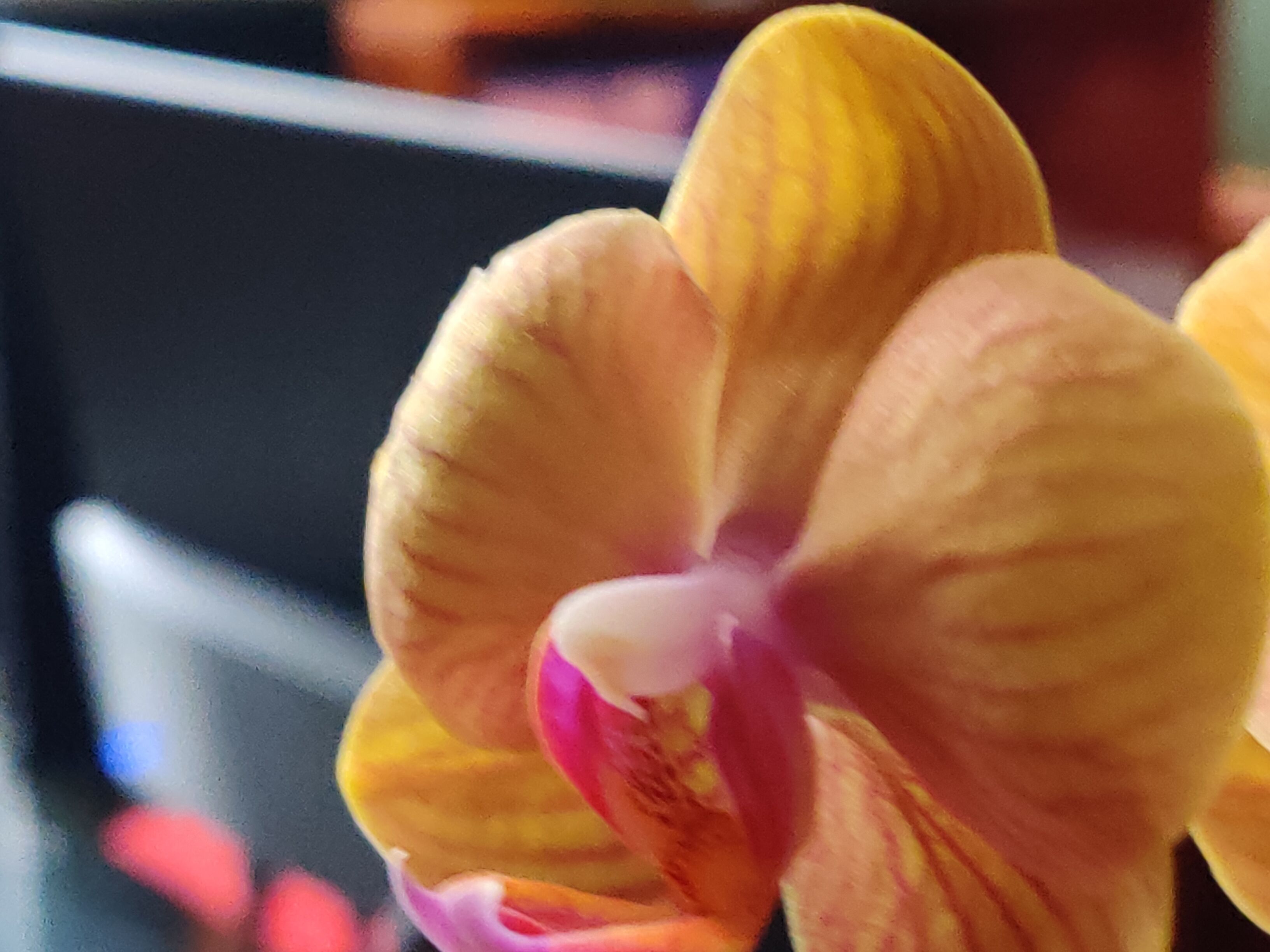 Photo - Azcami Boutique Hotel