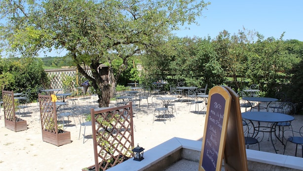 Un espace extérieur aménagé pour les repas, avec plusieurs tables et chaises, entouré d’arbres et d’une clôture en bois.