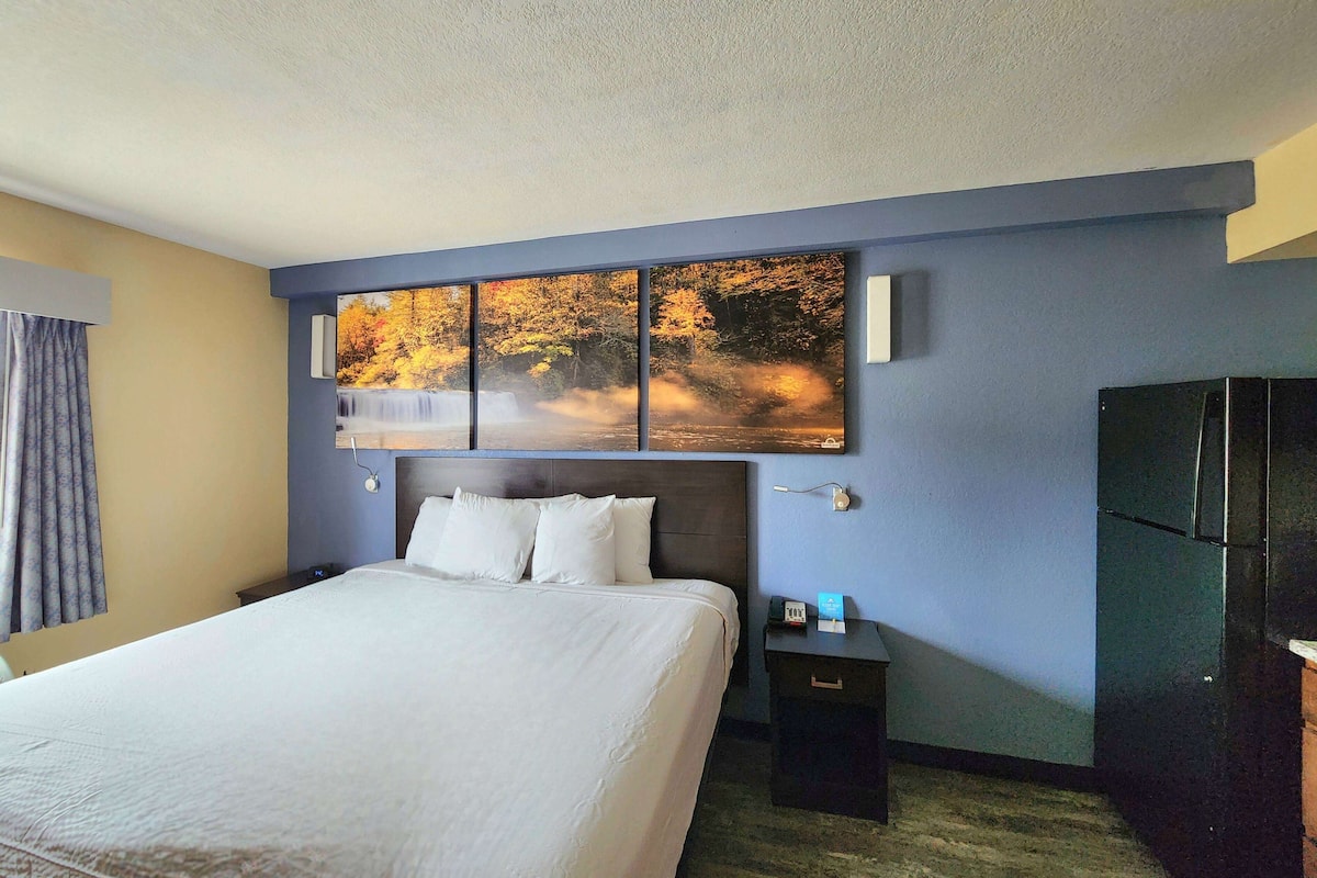A hotel room with a large bed, a nightstand, a dresser, and a wall-mounted artwork depicting a forest scene.