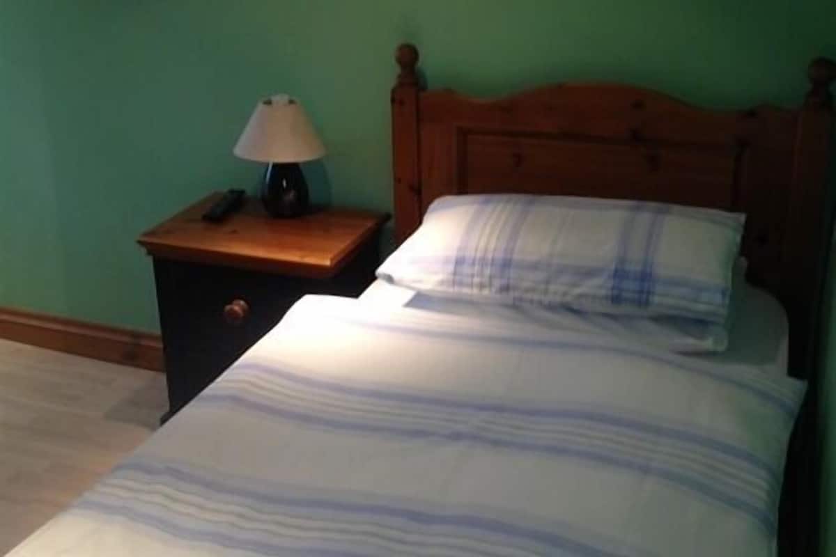A single bed with a wooden headboard, a nightstand with a lamp, and a green wall.