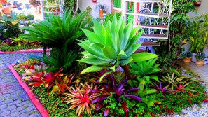 A garden with various plants and a paved walkway. - Estrela do Mar Residencial (Florianópolis)