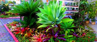 Estrela do Mar Residencial