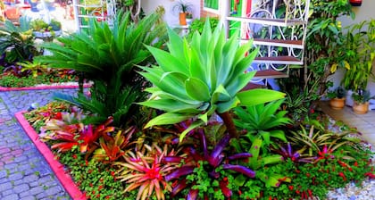 Estrela do Mar Residencial