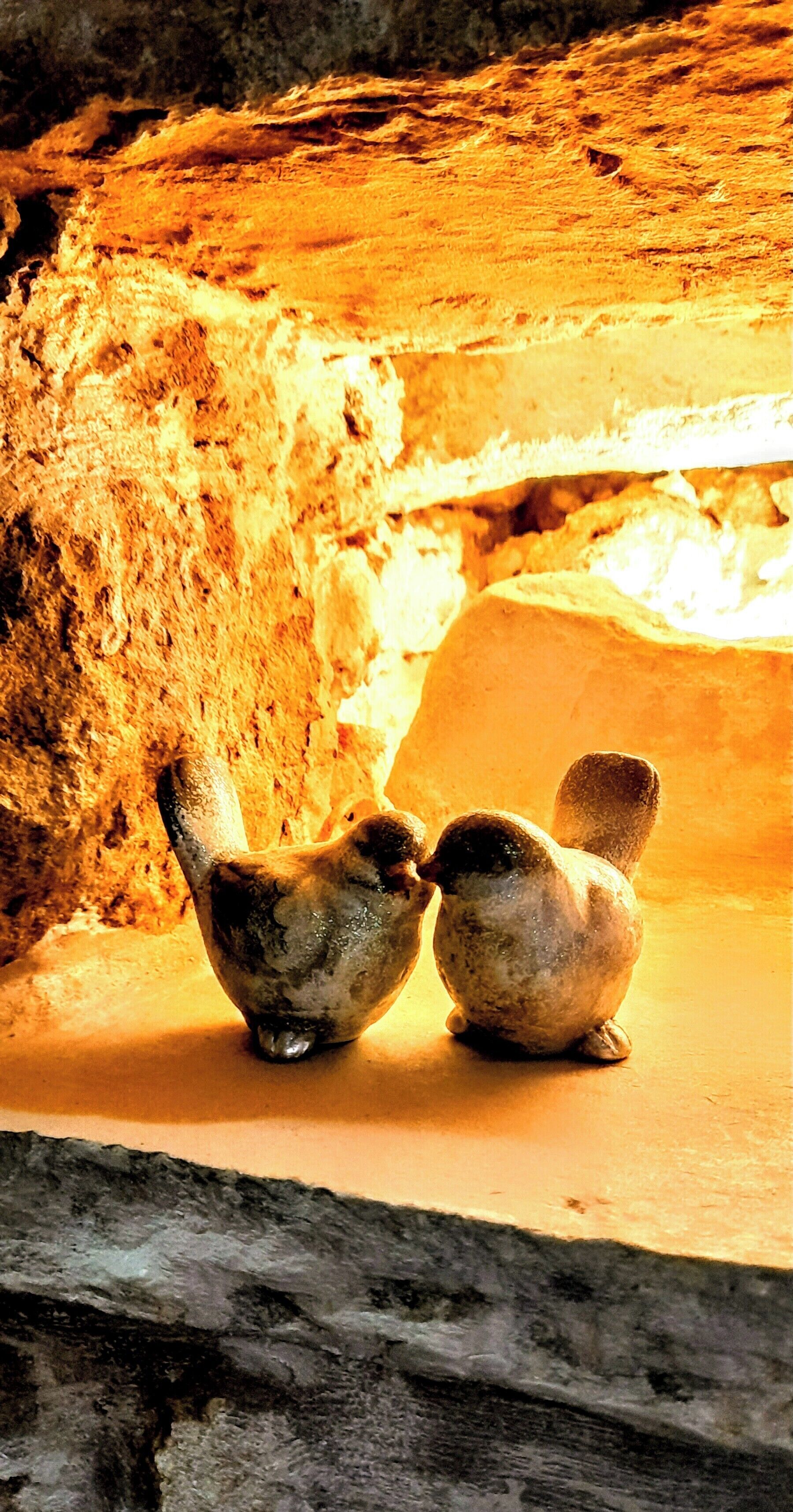 Two birds on a ledge with a rocky background.