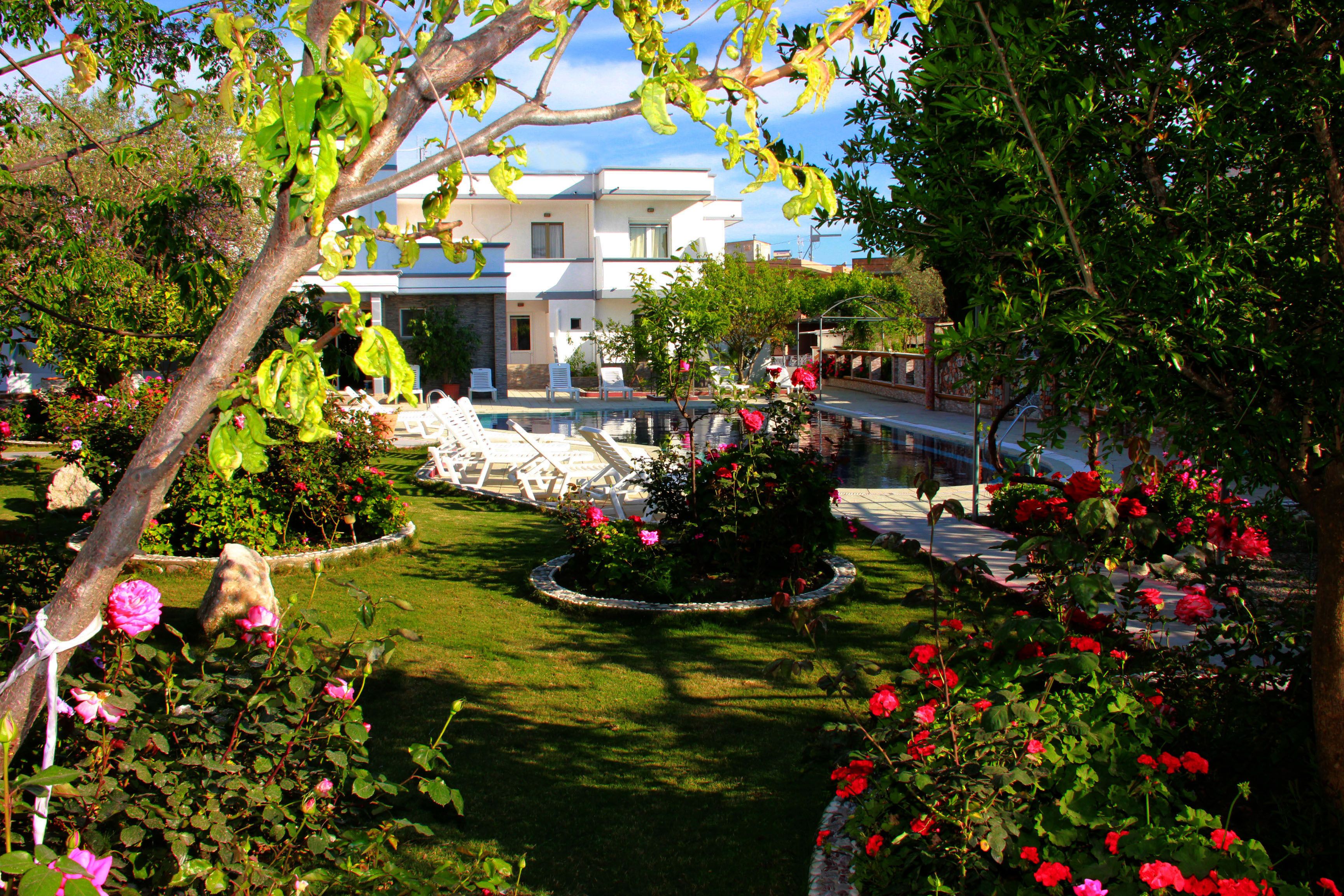 Foto - Hotel Dimitra Sun