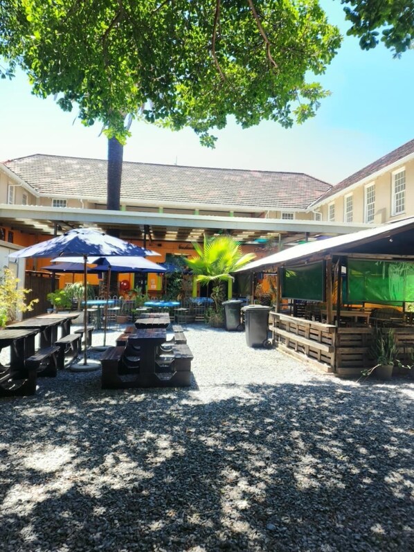 Bar (on property) - Riverlodge Backpackers (Cape Town)