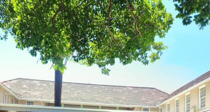 Riverlodge Backpackers