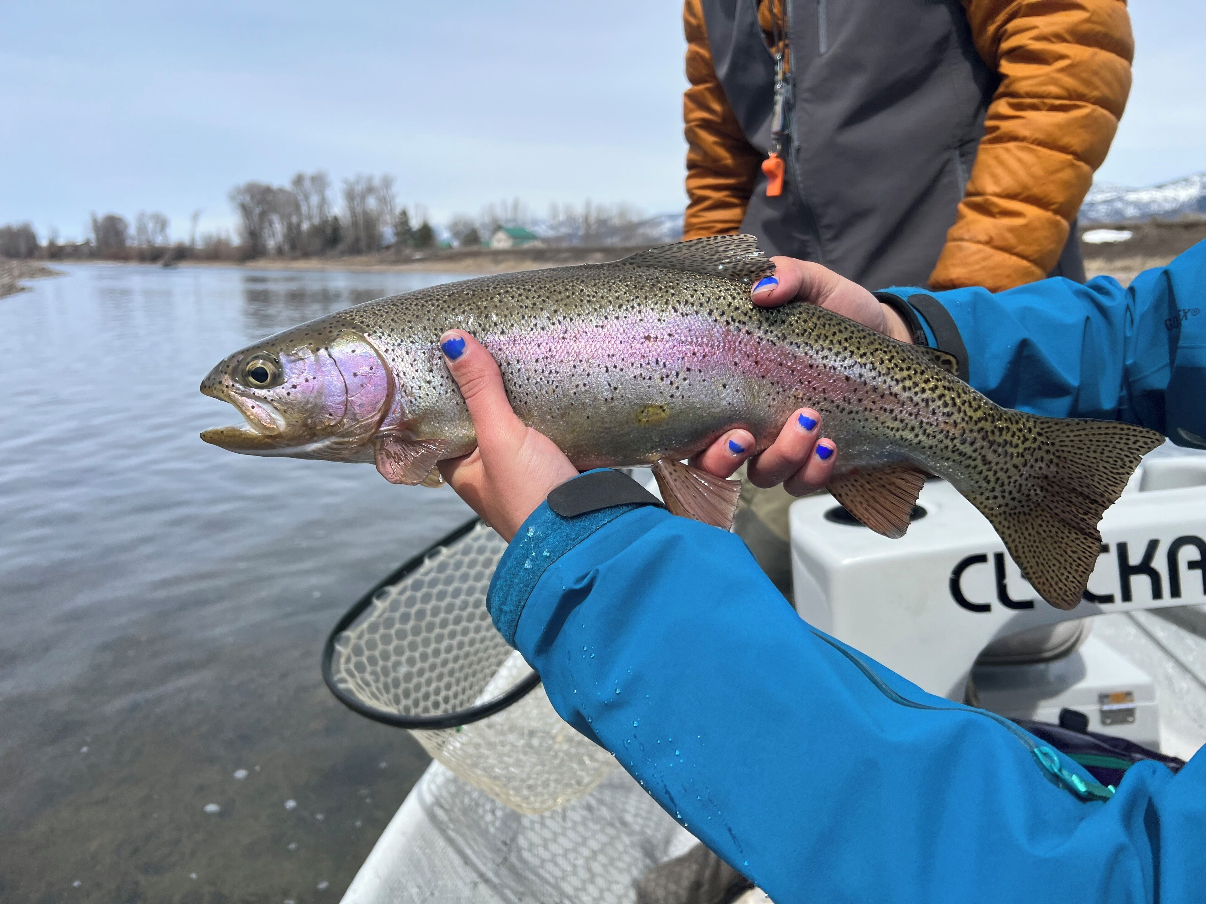 A person holding a fish near a boat.