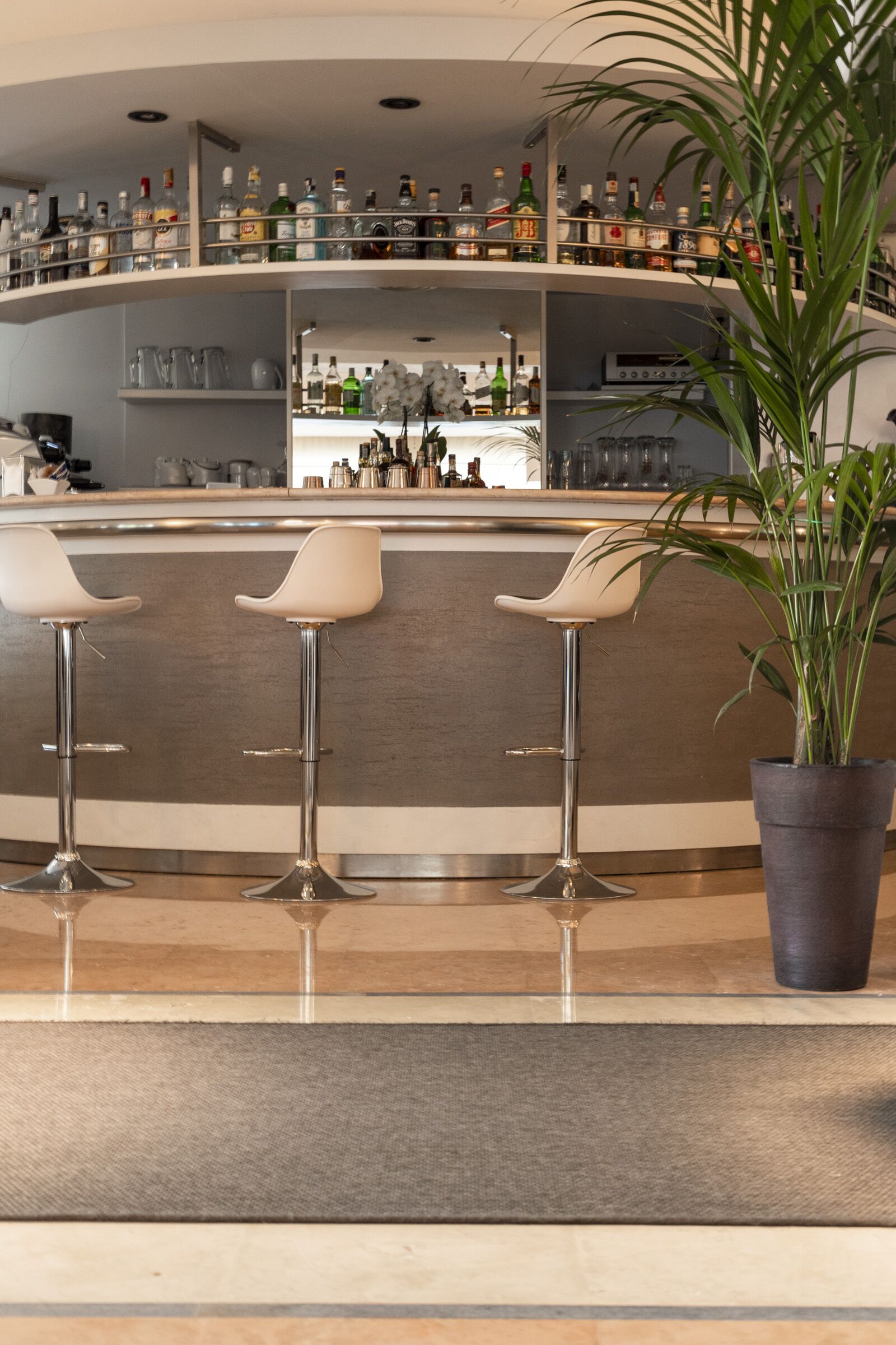 A bar area with two stools, a potted plant, and shelves stocked with bottles and glasses.