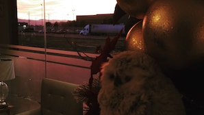 A room with a view of a sunset through a window, a plush chair, and a decorative plant. - Bluu Hotel (Frontera)