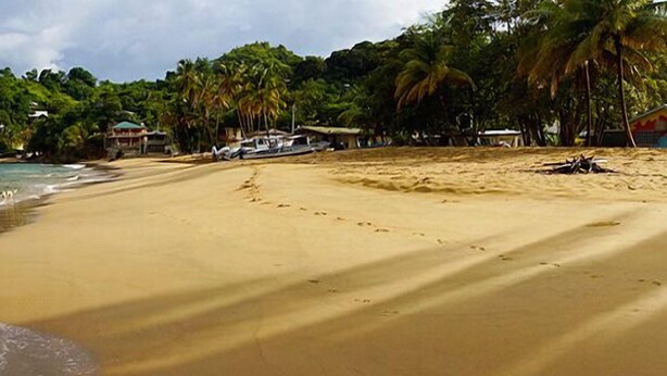 A beach with clear water, a sandy shore, and a row of buildings in the background. - C & K Apartments (Castara)