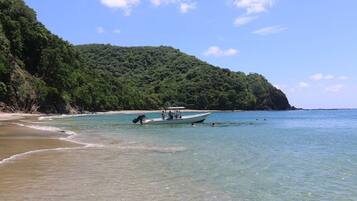 على الشاطئ، الغوص بأنبوب التنفس، صيد الأسماك