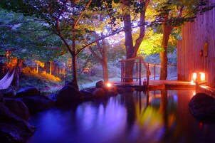 Piscina natural