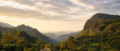 A valley with houses surrounded by dense greenery and mountains.