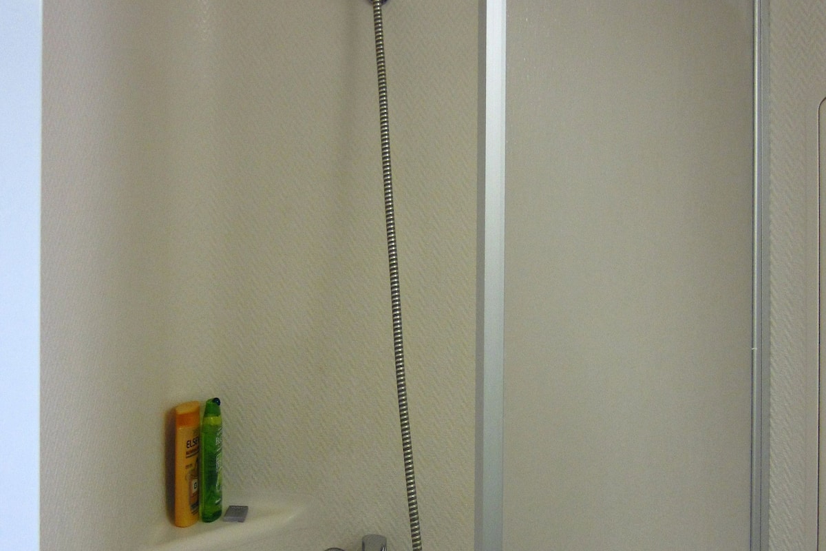 shower, free toiletries, hair dryer, towels