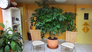 A waiting area with two wicker chairs, a large potted plant, a clock, and a shelf with magazines. - Hotel Noctuel - Blois (Saint-Gervais-la-Foret)